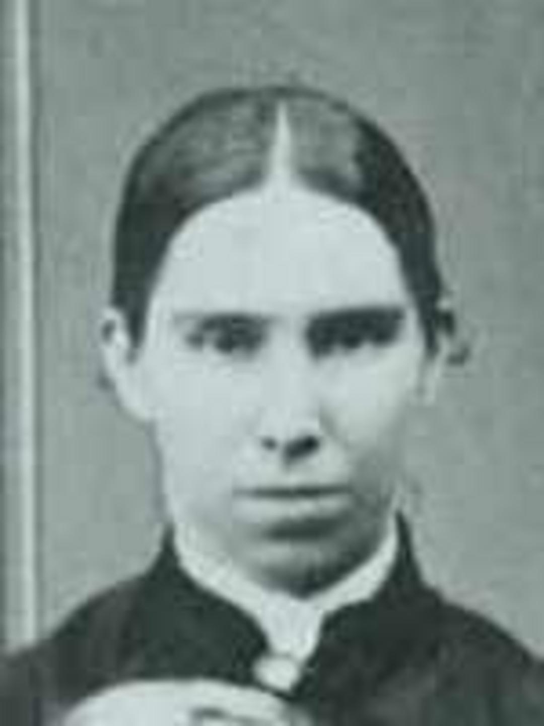 Harriet Rebecca Campkin (1852 - 1900) Profile
